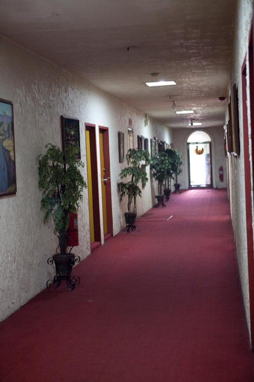 Phoenix Hotel 安吉利斯 外观 照片
